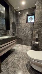 Parksuites (D10), Apartment #542743911